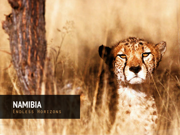 Namibia Tourism — PSD to CMS project